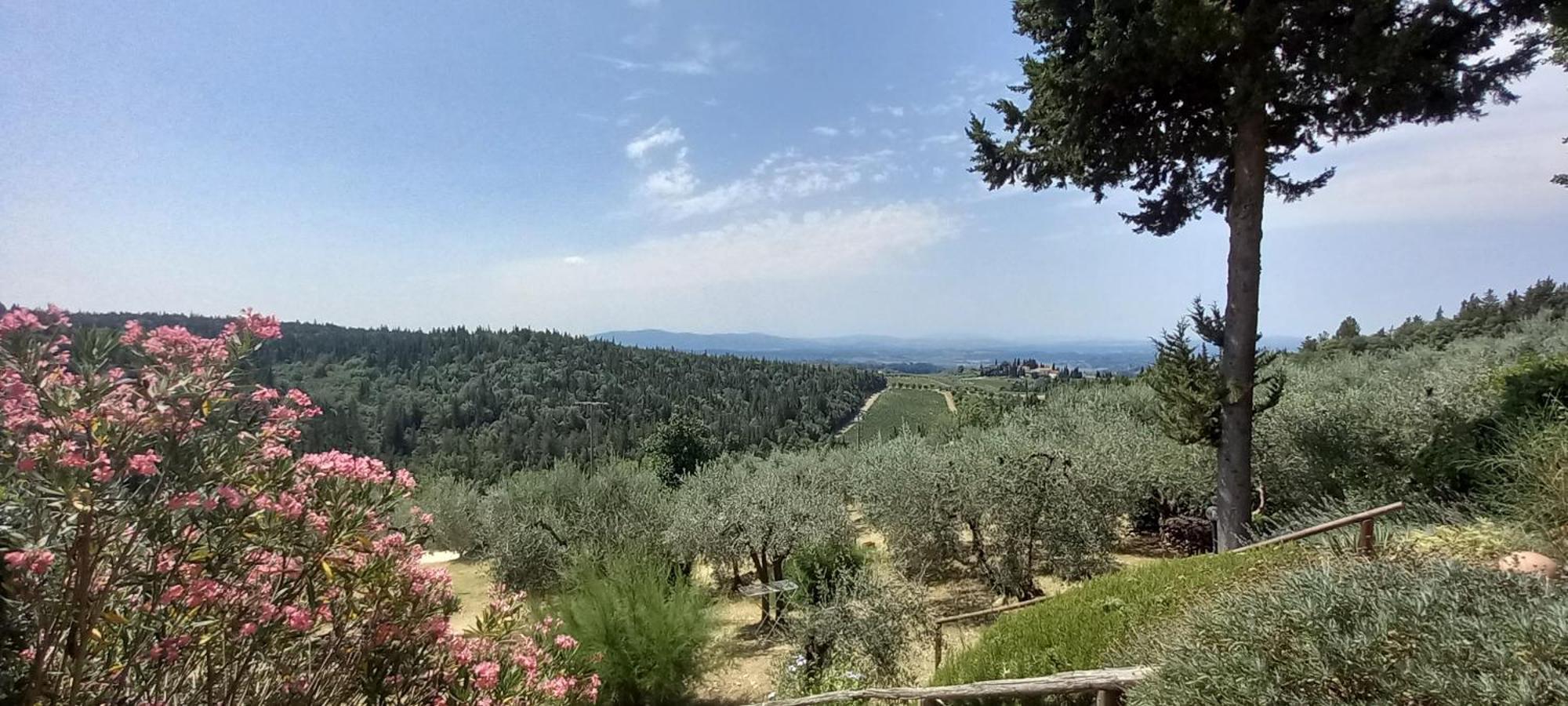 Appartamento Il Granaio Castellina in Chianti Esterno foto