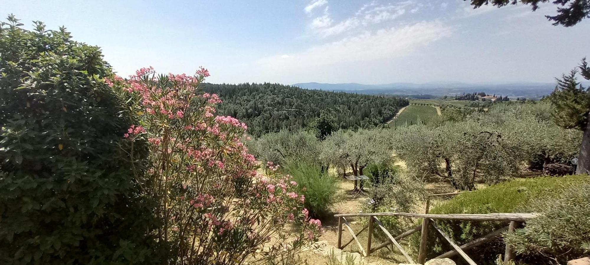 Appartamento Il Granaio Castellina in Chianti Esterno foto